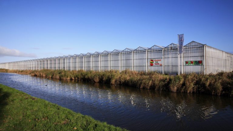 Innovatie rond waterkwaliteit glastuinbouw